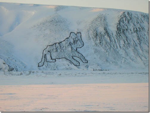 Black_dog_annotated 