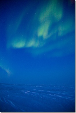 photo by Angus Mill, 2009 photo by Angus Mill, 2009