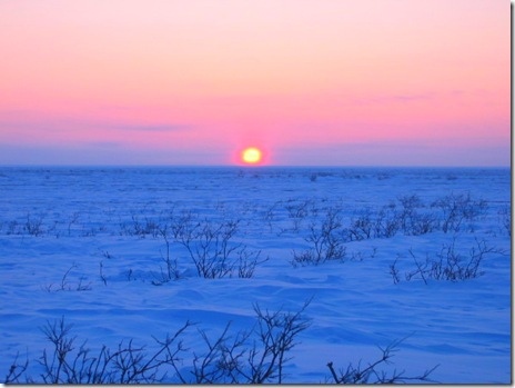 photo by Mark Musial, 2009 photo by Mark Musial, 2009