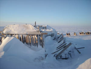 Leffingwell's cabin in 2008