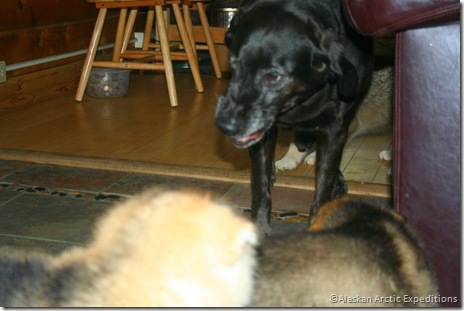 IMG_8702 IMG_8702